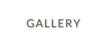 gallery_main